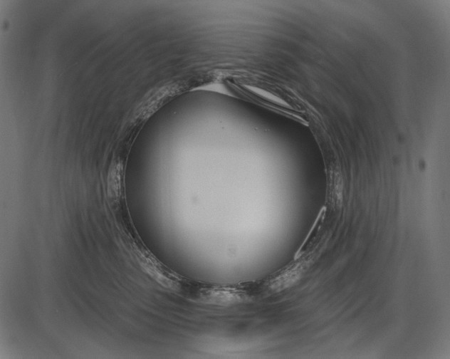 X0000086070475200704091240