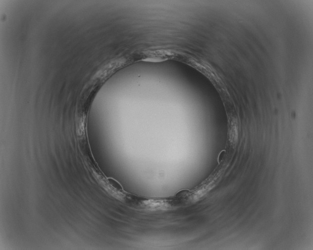 X0000086070477200704091240
