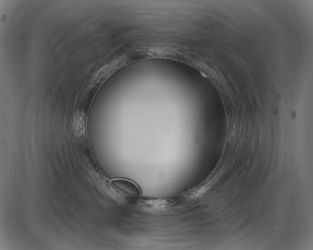 X0000086070478200704091240