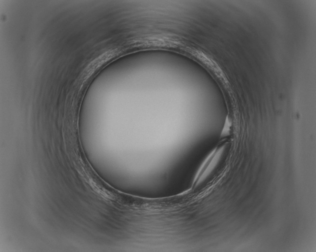 X0000086070481200704091239