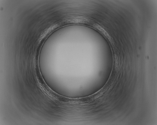 X0000086070482200704091239