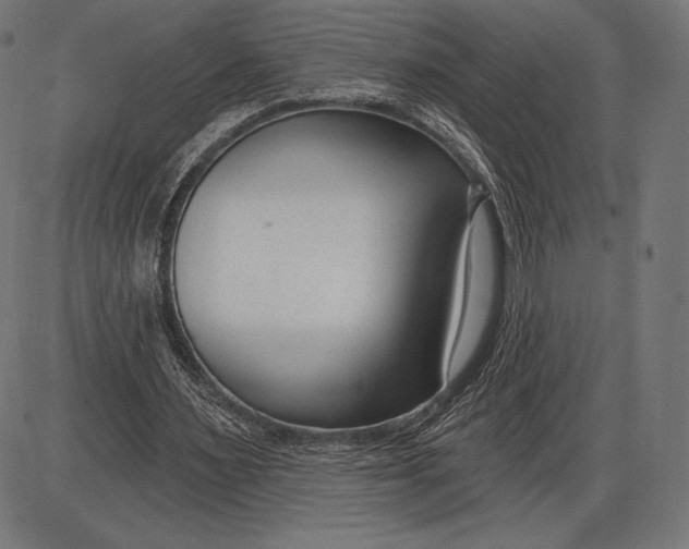 X0000086070483200704091239