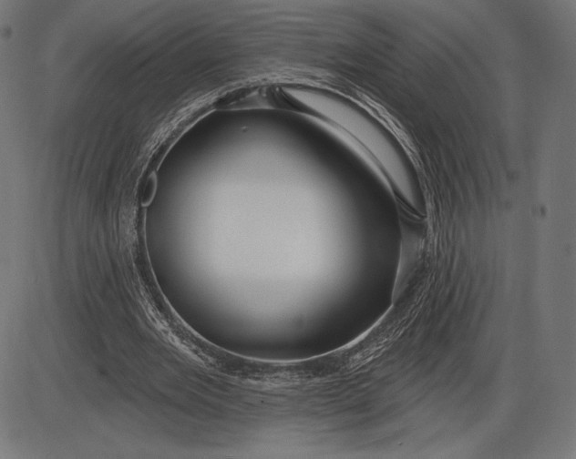 X0000086070485200704091239