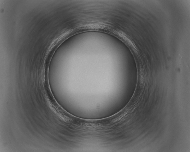 X0000086070486200704091239