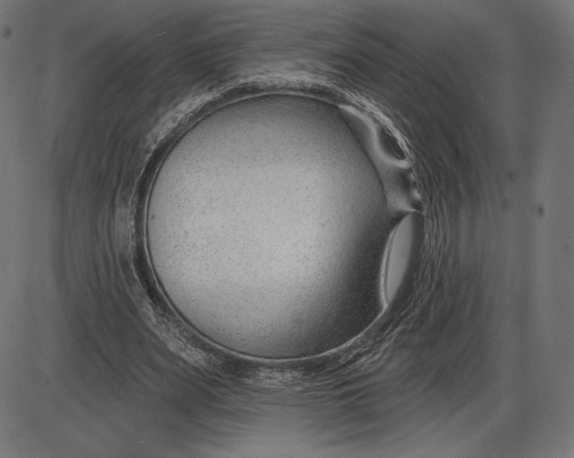 X0000086070487200704091239