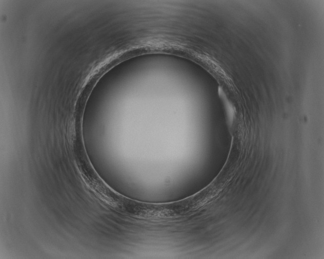 X0000086070488200704091239