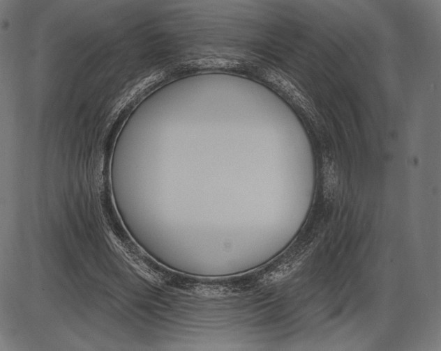 X0000086070490200704091239