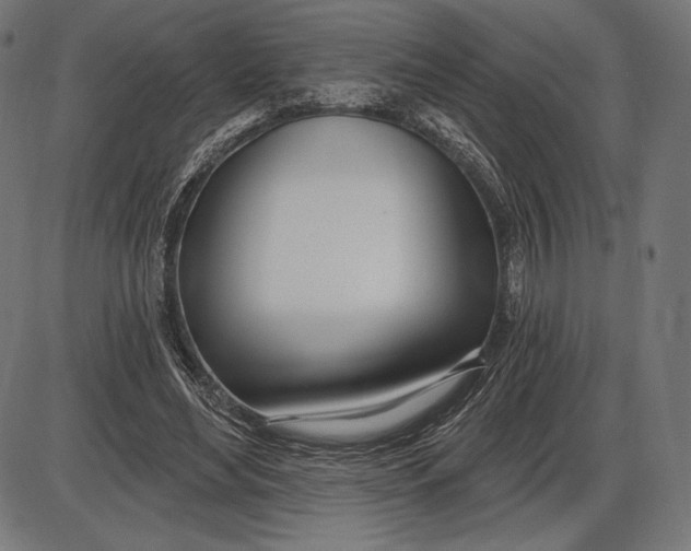 X0000086070492200704091239
