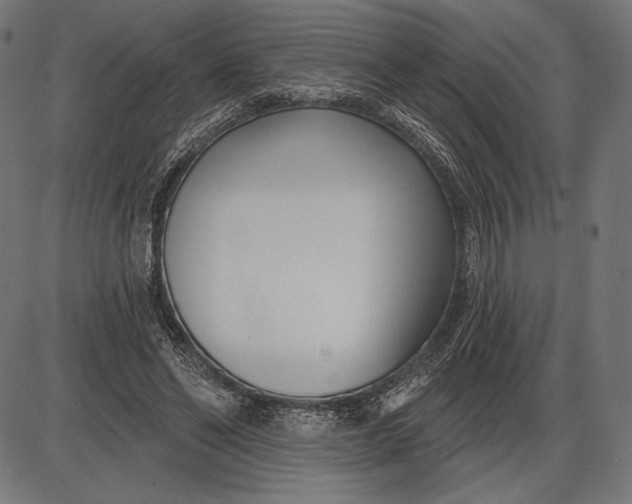 X0000086070494200704091239