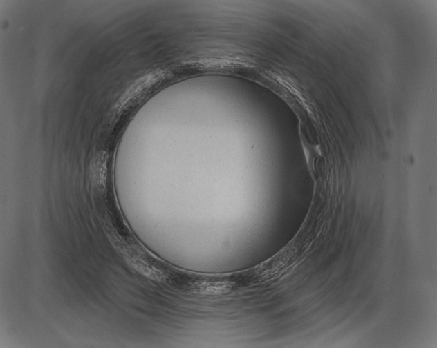 X0000086070495200704091239