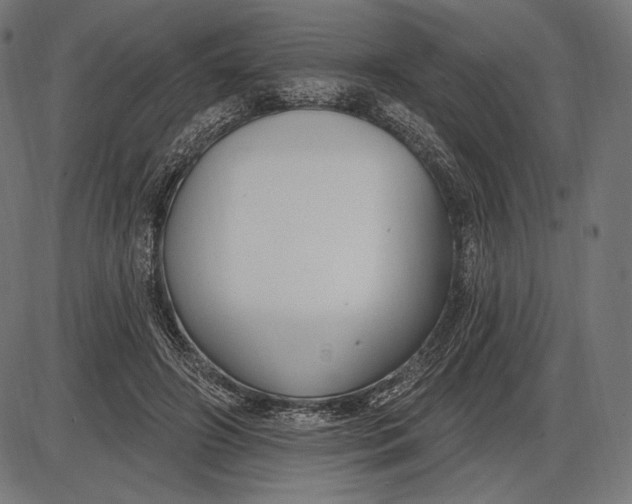 X0000086070498200704091239