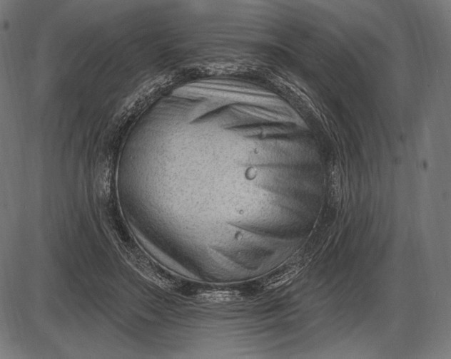 X0000086070499200704091239