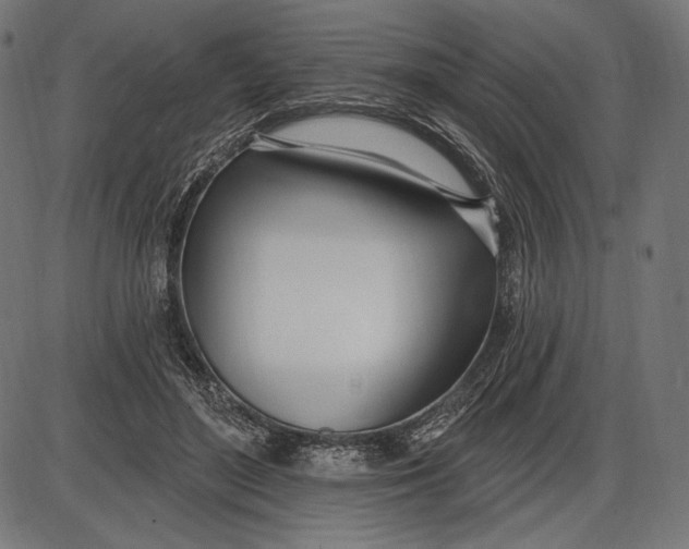 X0000086070500200704091239