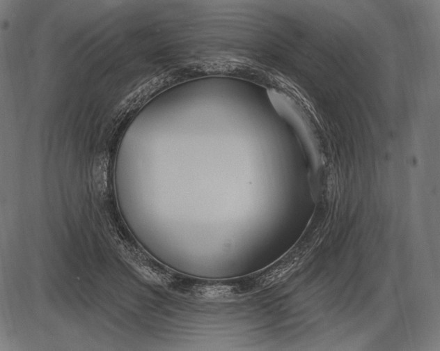 X0000086070501200704091239