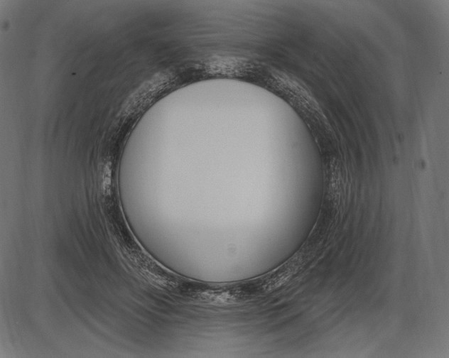 X0000086070502200704091239