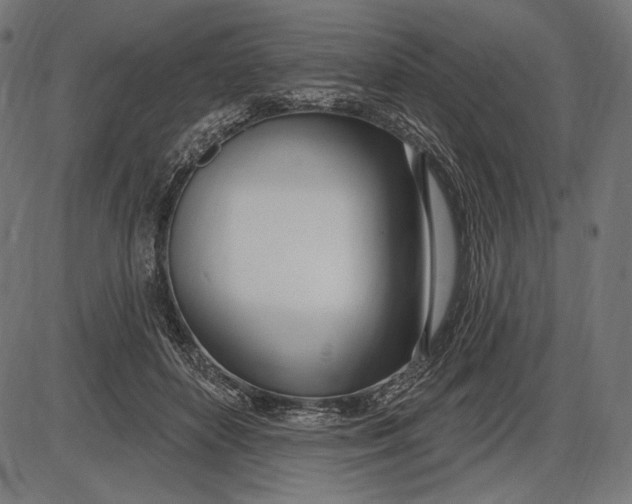 X0000086070504200704091239