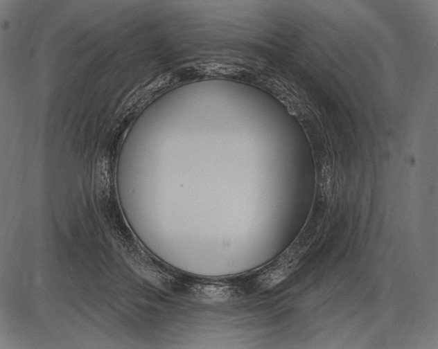 X0000086070506200704091239