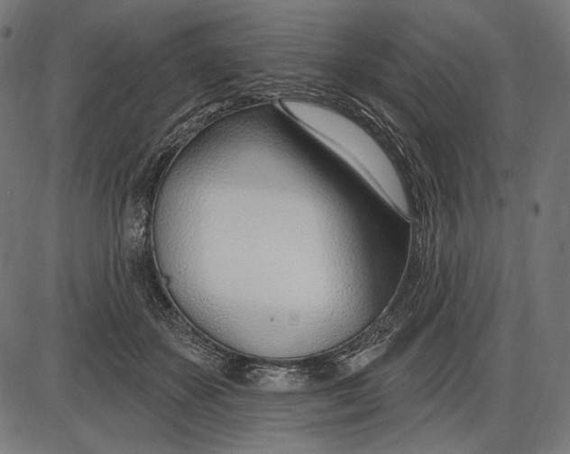 X0000086070507200704091239