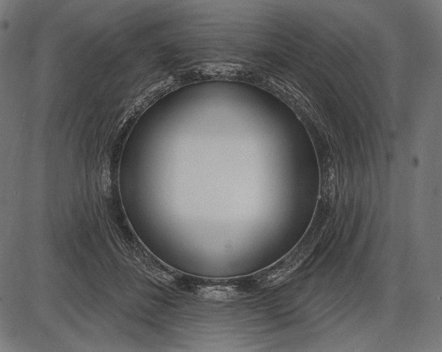 X0000086070508200704091239