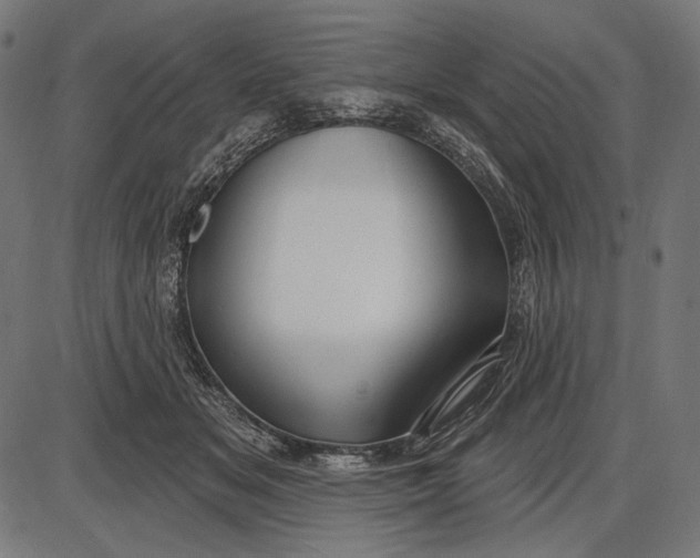 X0000086070509200704091239