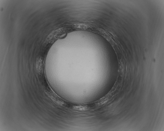X0000086070511200704091239