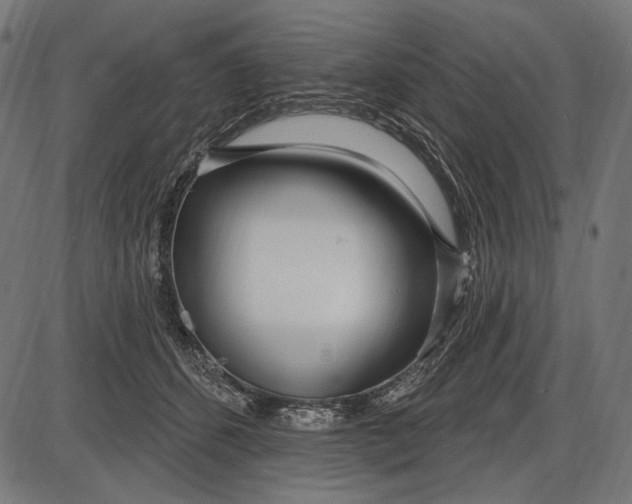 X0000086070512200704091239