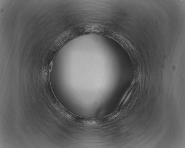X0000086070513200704091239