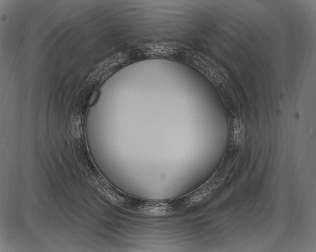 X0000086070514200704091239