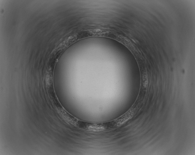 X0000086070515200704091239