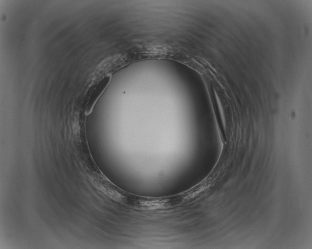 X0000086070516200704091239