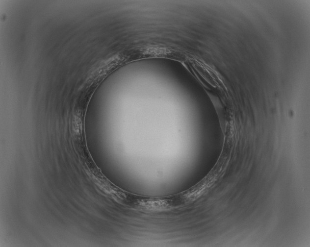 X0000086070517200704091239
