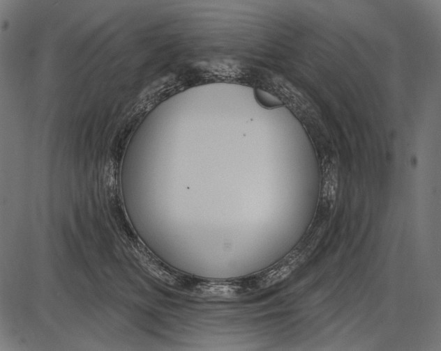 X0000086070518200704091239