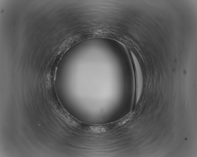 X0000086070520200704091238