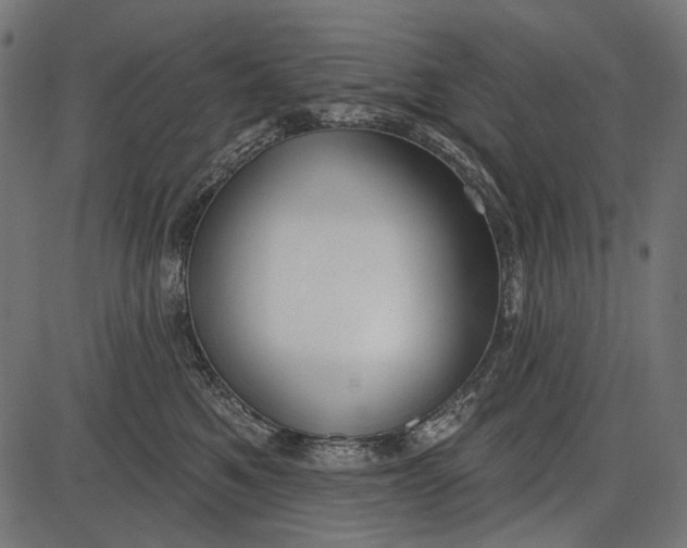 X0000086070521200704091238