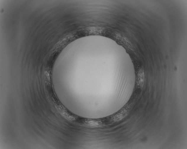 X0000086070522200704091238