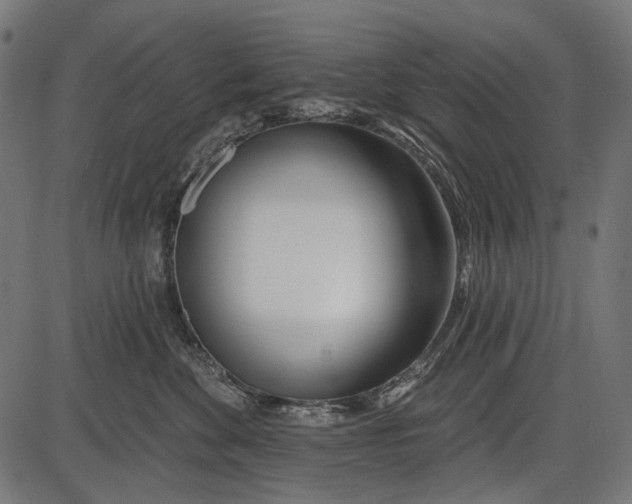 X0000086070524200704091238