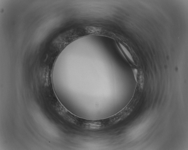 X0000086070525200704091238