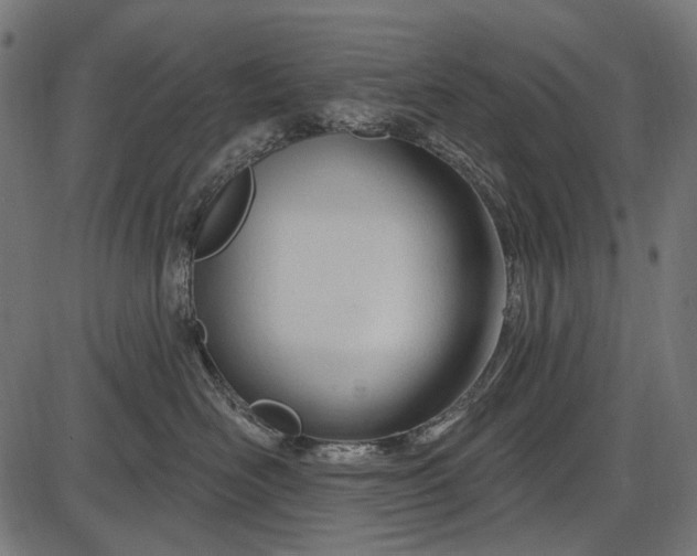 X0000086070526200704091238