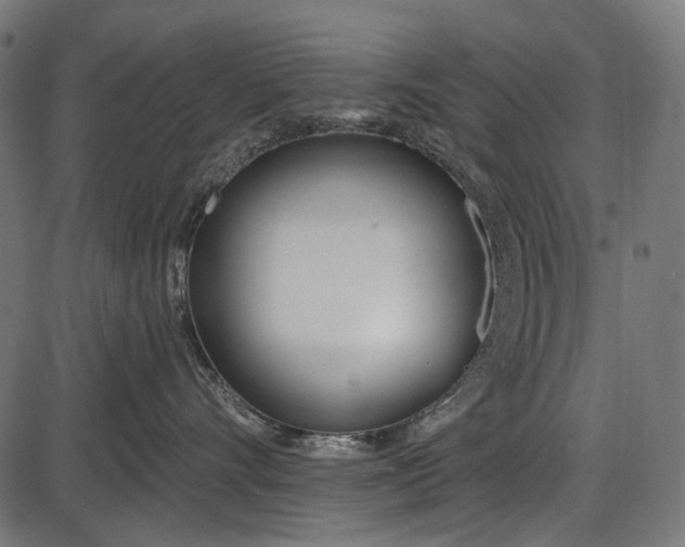 X0000086070528200704091238