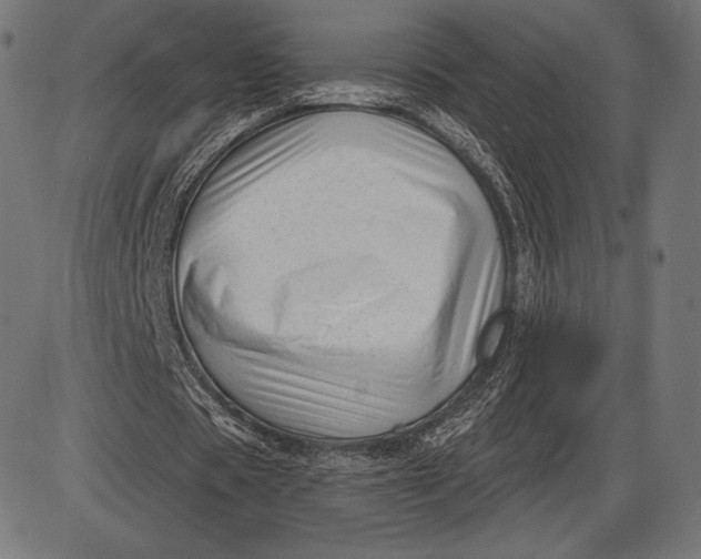 X0000086070529200704091238