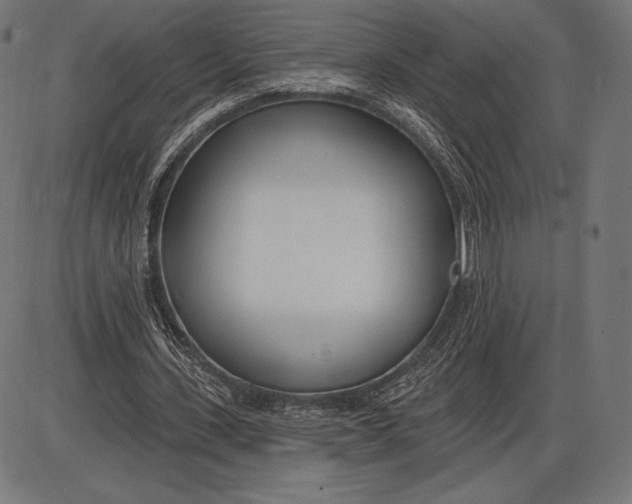X0000086070531200704091238