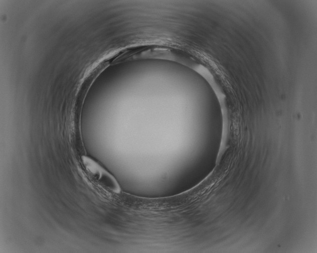X0000086070532200704091238