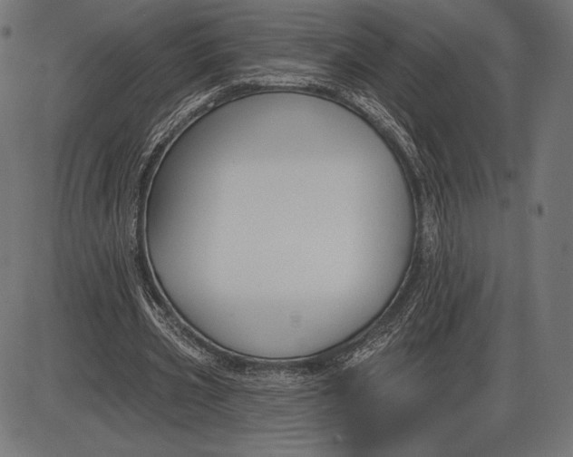 X0000086070533200704091238