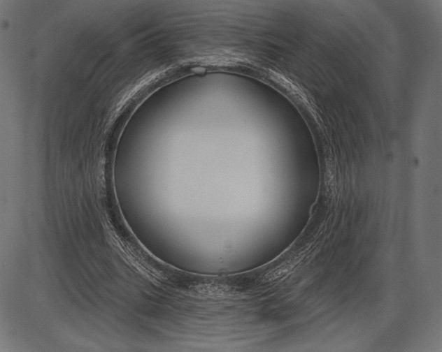X0000086070535200704091238