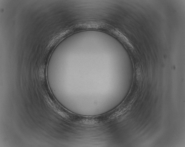 X0000086070537200704091238
