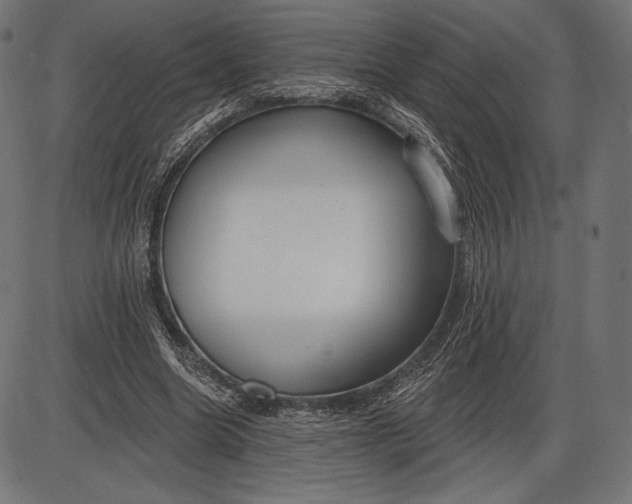 X0000086070538200704091238