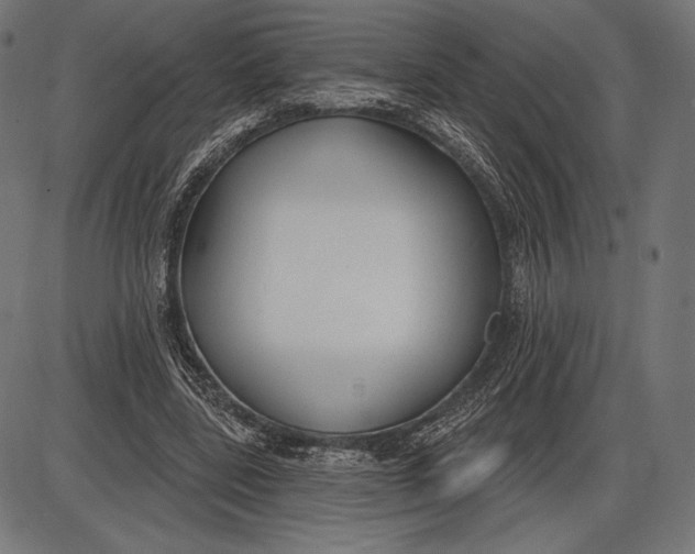 X0000086070539200704091238
