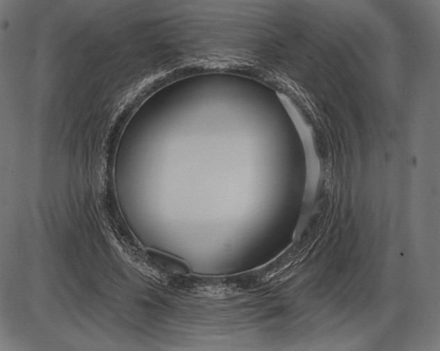 X0000086070540200704091238