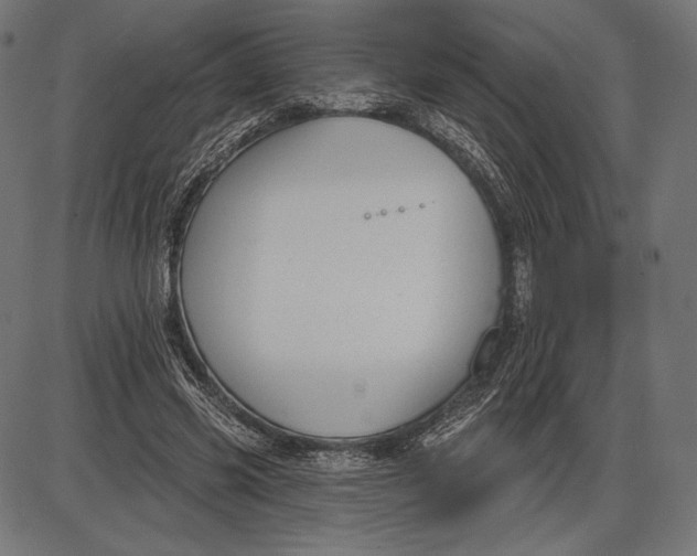 X0000086070541200704091238