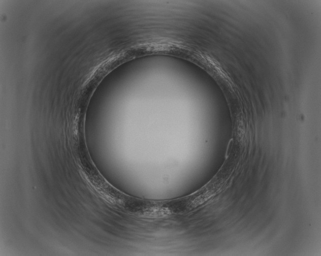 X0000086070543200704091238
